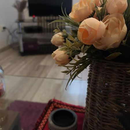 Apartament Deea Apartament Krajowa Zewnętrze zdjęcie