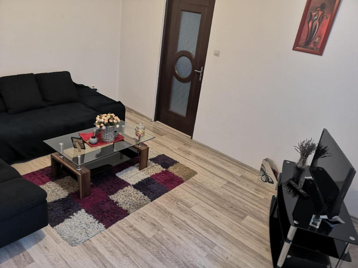 Apartament Deea Apartament Krajowa Zewnętrze zdjęcie